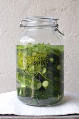 Fermenting Revolution: The Universal Fermented Pickle Recipe